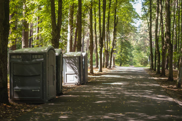Best Luxury portable toilet rental  in Mount Pleasant, TN